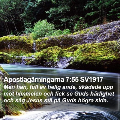 Apostlagärningarna 7:55 SV1917 Bible Verse Image