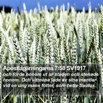 Apostlagärningarna 7:58 SV1917 Bible Verse Image