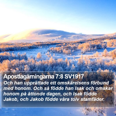 Apostlagärningarna 7:8 SV1917 Bible Verse Image