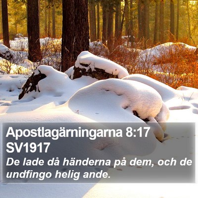 Apostlagärningarna 8:17 SV1917 Bible Verse Image