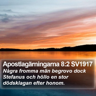 Apostlagärningarna 8:2 SV1917 Bible Verse Image