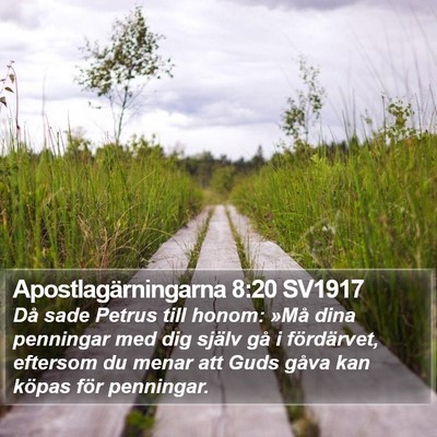 Apostlagärningarna 8:20 SV1917 Bible Verse Image