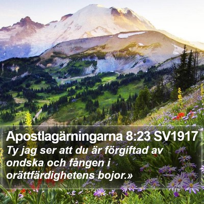 Apostlagärningarna 8:23 SV1917 Bible Verse Image