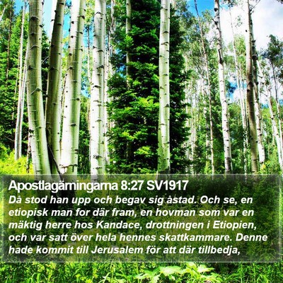 Apostlagärningarna 8:27 SV1917 Bible Verse Image