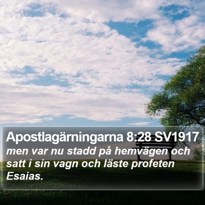 Apostlagärningarna 8:28 SV1917 Bible Verse Image
