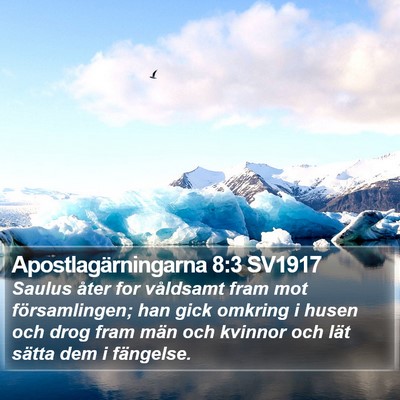 Apostlagärningarna 8:3 SV1917 Bible Verse Image