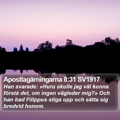 Apostlagärningarna 8:31 SV1917 Bible Verse Image