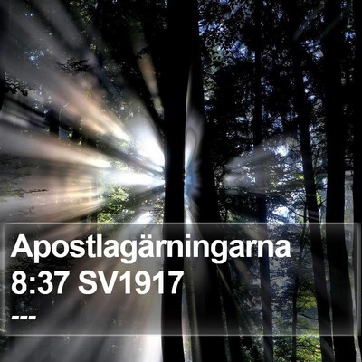Apostlagärningarna 8:37 SV1917 Bible Verse Image
