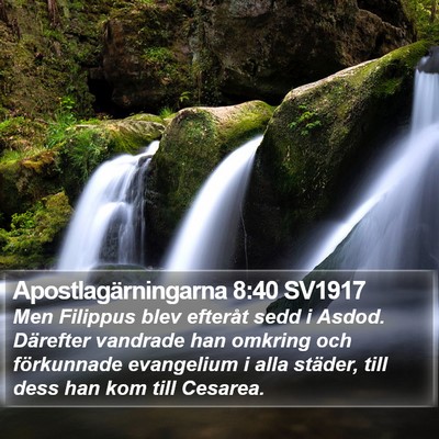 Apostlagärningarna 8:40 SV1917 Bible Verse Image