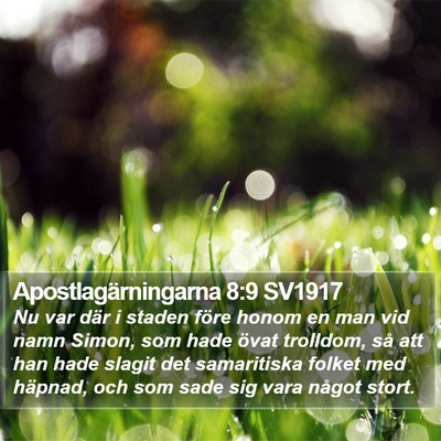 Apostlagärningarna 8:9 SV1917 Bible Verse Image