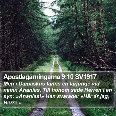 Apostlagärningarna 9:10 SV1917 Bible Verse Image
