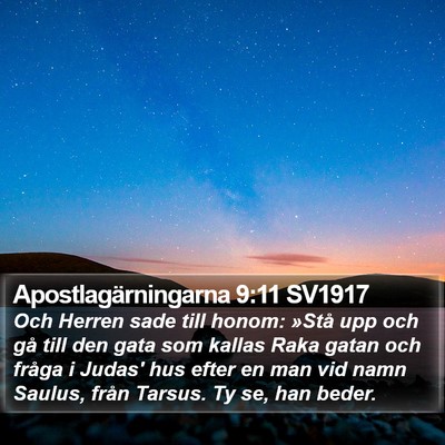 Apostlagärningarna 9:11 SV1917 Bible Verse Image