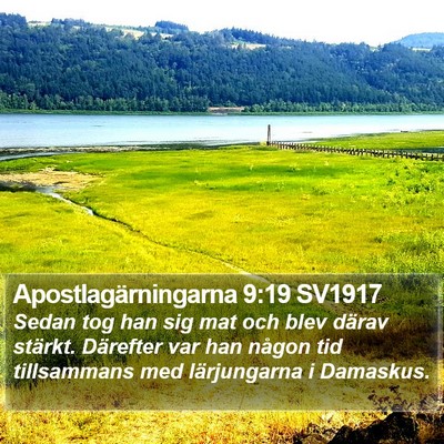 Apostlagärningarna 9:19 SV1917 Bible Verse Image