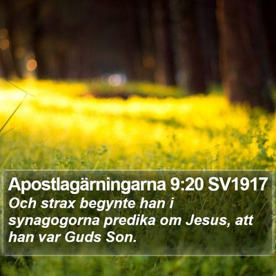 Apostlagärningarna 9:20 SV1917 Bible Verse Image