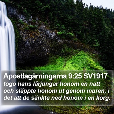 Apostlagärningarna 9:25 SV1917 Bible Verse Image