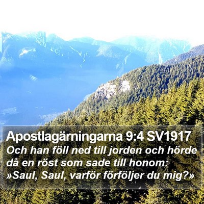 Apostlagärningarna 9:4 SV1917 Bible Verse Image