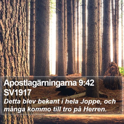 Apostlagärningarna 9:42 SV1917 Bible Verse Image