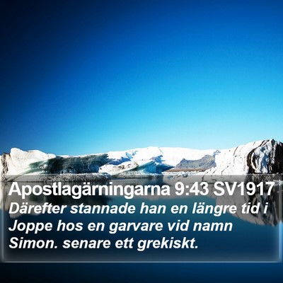 Apostlagärningarna 9:43 SV1917 Bible Verse Image