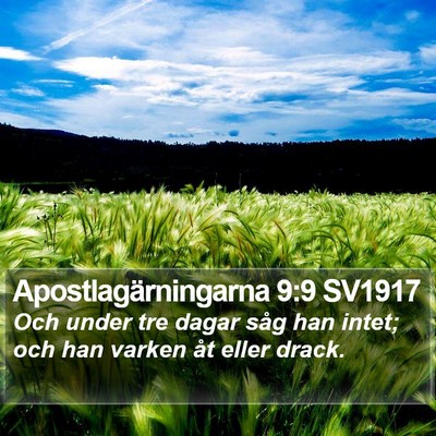 Apostlagärningarna 9:9 SV1917 Bible Verse Image