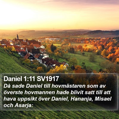Daniel 1:11 SV1917 Bible Verse Image