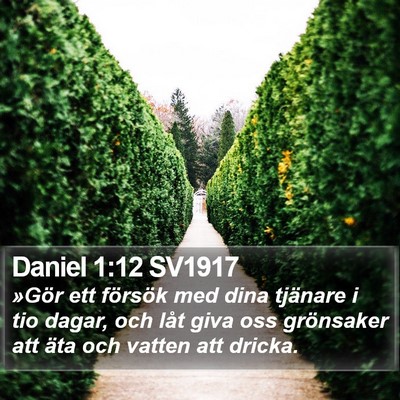 Daniel 1:12 SV1917 Bible Verse Image