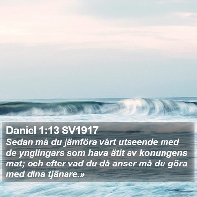 Daniel 1:13 SV1917 Bible Verse Image