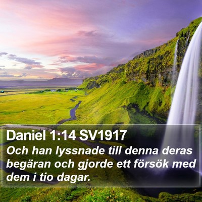 Daniel 1:14 SV1917 Bible Verse Image