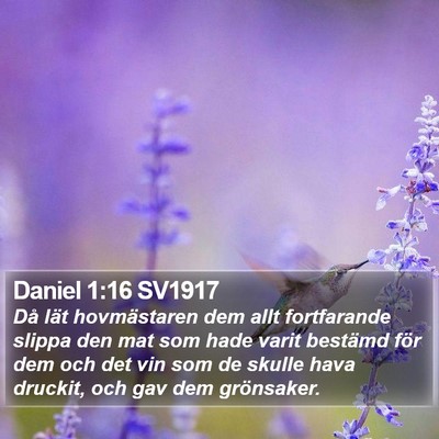 Daniel 1:16 SV1917 Bible Verse Image
