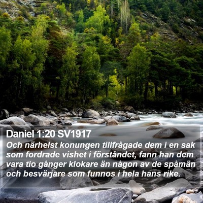 Daniel 1:20 SV1917 Bible Verse Image