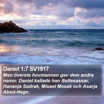 Daniel 1:7 SV1917 Bible Verse Image