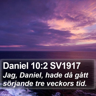 Daniel 10:2 SV1917 Bible Verse Image