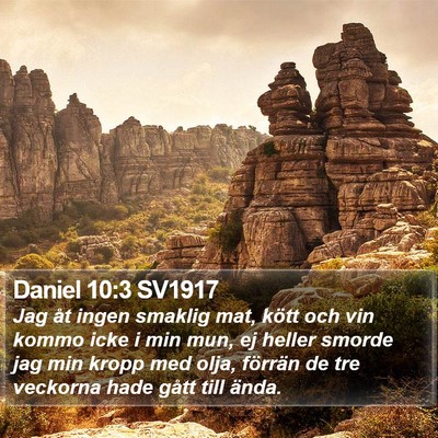 Daniel 10:3 SV1917 Bible Verse Image