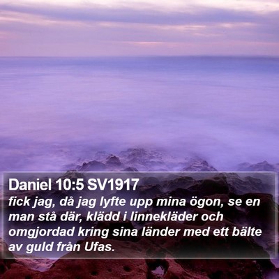 Daniel 10:5 SV1917 Bible Verse Image