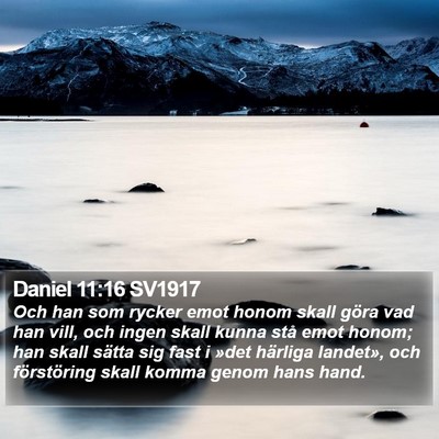 Daniel 11:16 SV1917 Bible Verse Image