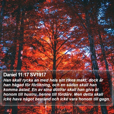 Daniel 11:17 SV1917 Bible Verse Image