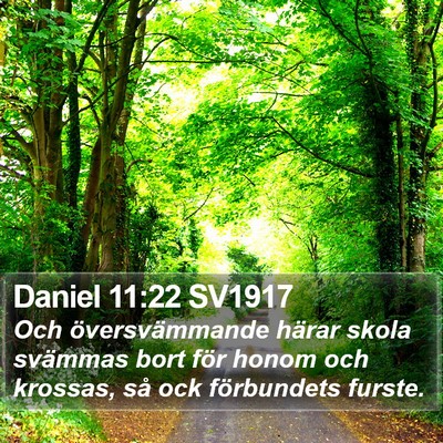 Daniel 11:22 SV1917 Bible Verse Image