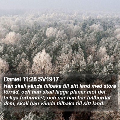 Daniel 11:28 SV1917 Bible Verse Image
