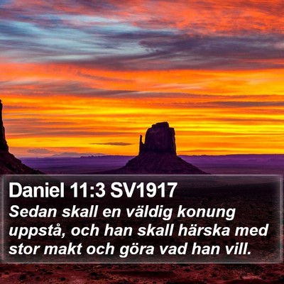 Daniel 11:3 SV1917 Bible Verse Image