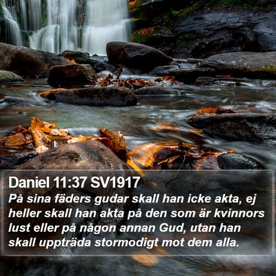 Daniel 11:37 SV1917 Bible Verse Image