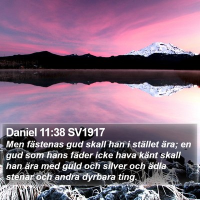 Daniel 11:38 SV1917 Bible Verse Image