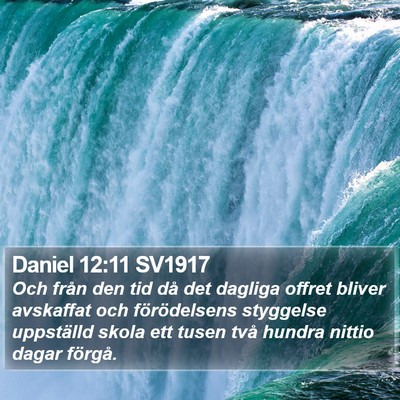 Daniel 12:11 SV1917 Bible Verse Image