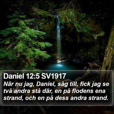 Daniel 12:5 SV1917 Bible Verse Image