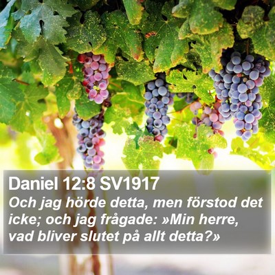 Daniel 12:8 SV1917 Bible Verse Image