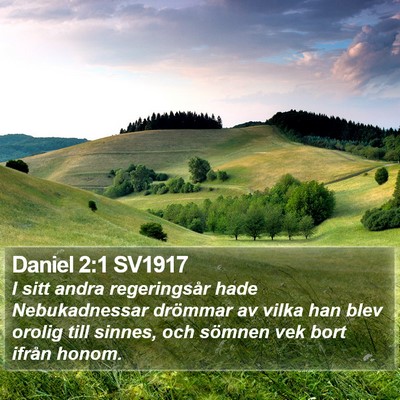 Daniel 2:1 SV1917 Bible Verse Image