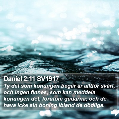 Daniel 2:11 SV1917 Bible Verse Image