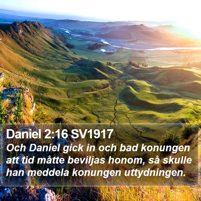 Daniel 2:16 SV1917 Bible Verse Image