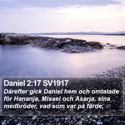 Daniel 2:17 SV1917 Bible Verse Image