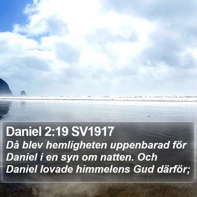 Daniel 2:19 SV1917 Bible Verse Image