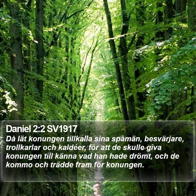 Daniel 2:2 SV1917 Bible Verse Image