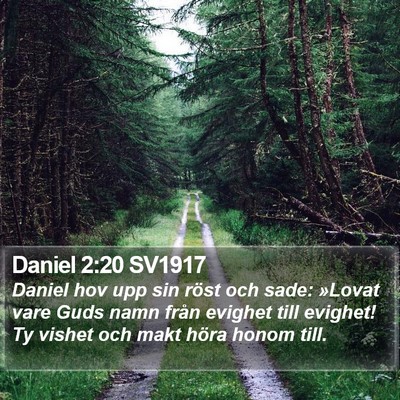 Daniel 2:20 SV1917 Bible Verse Image